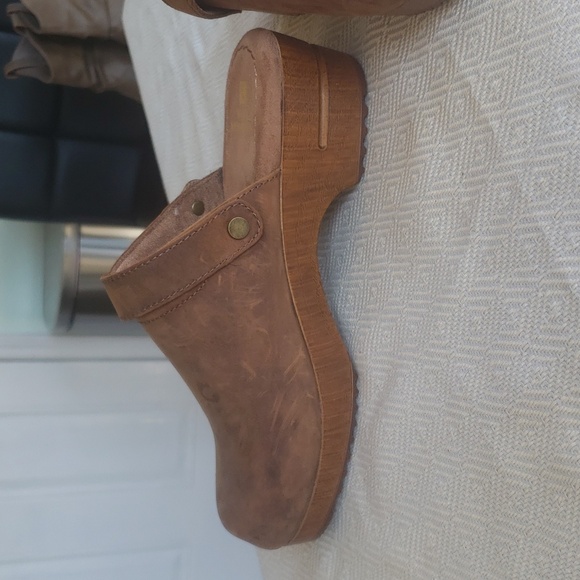 White Mountain Mules - Picture 2 of 7